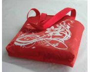 BOLSA TÉRMICA SACOLA COM ZIPER TÉRMICA 12L - 40x30